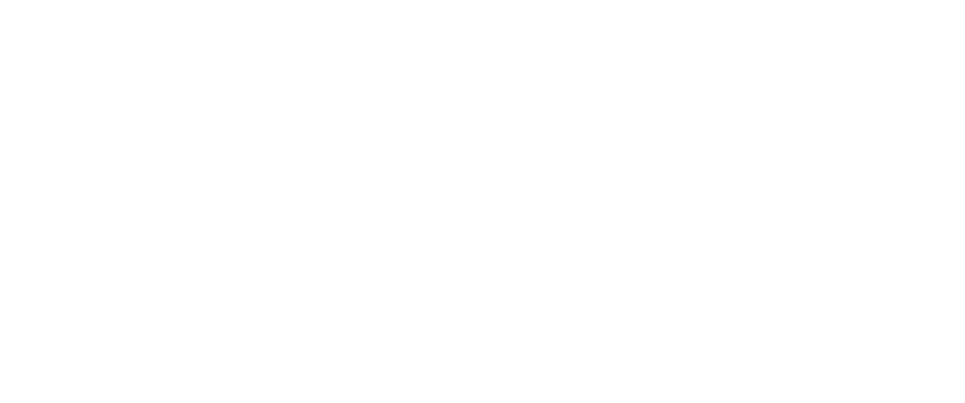 Vectors